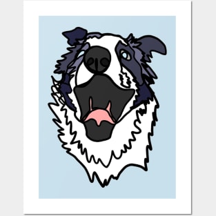 Border Collie Posters and Art